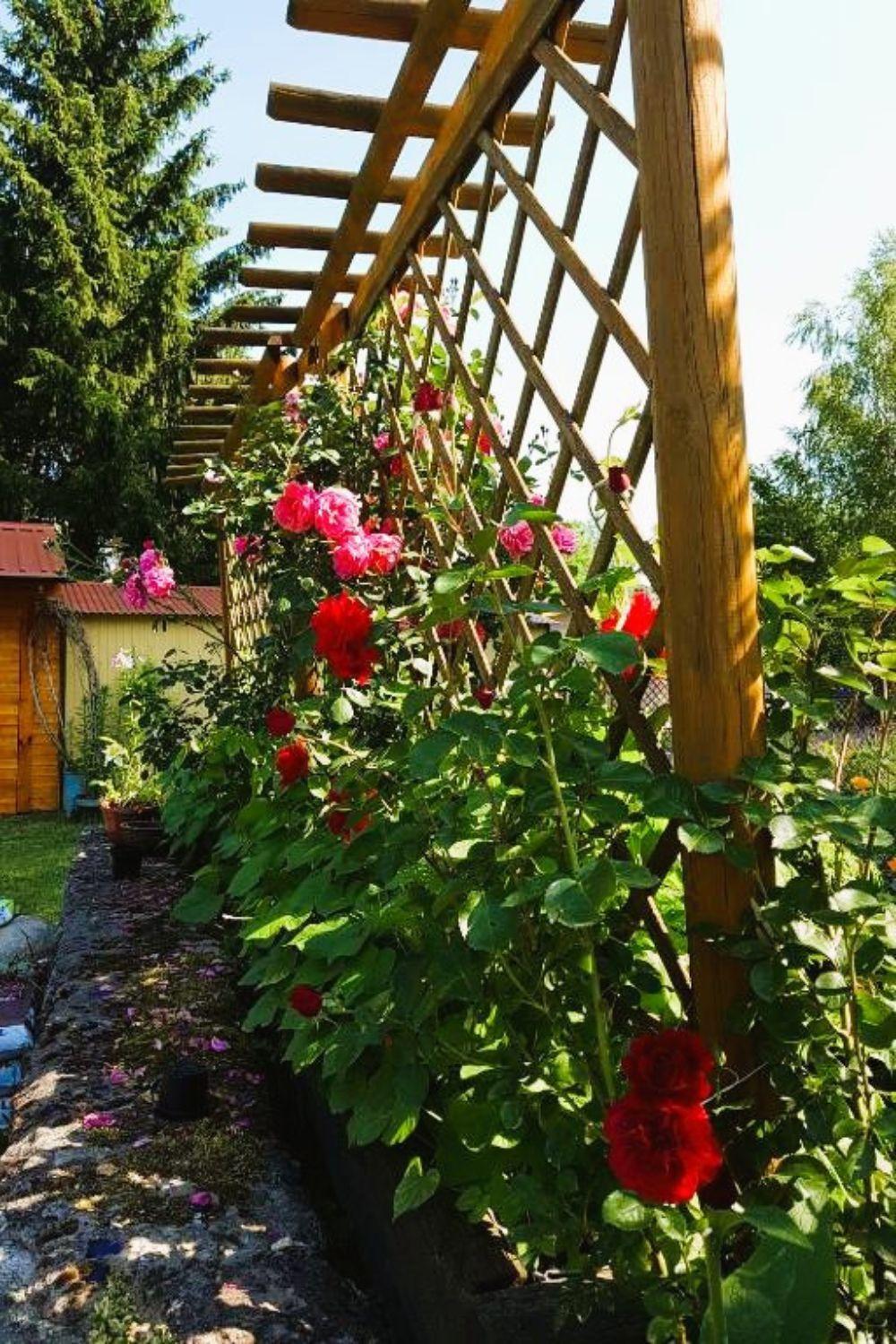 Bauernhof Olszyna Pod Brzoza Olszyna (Lubuskie)