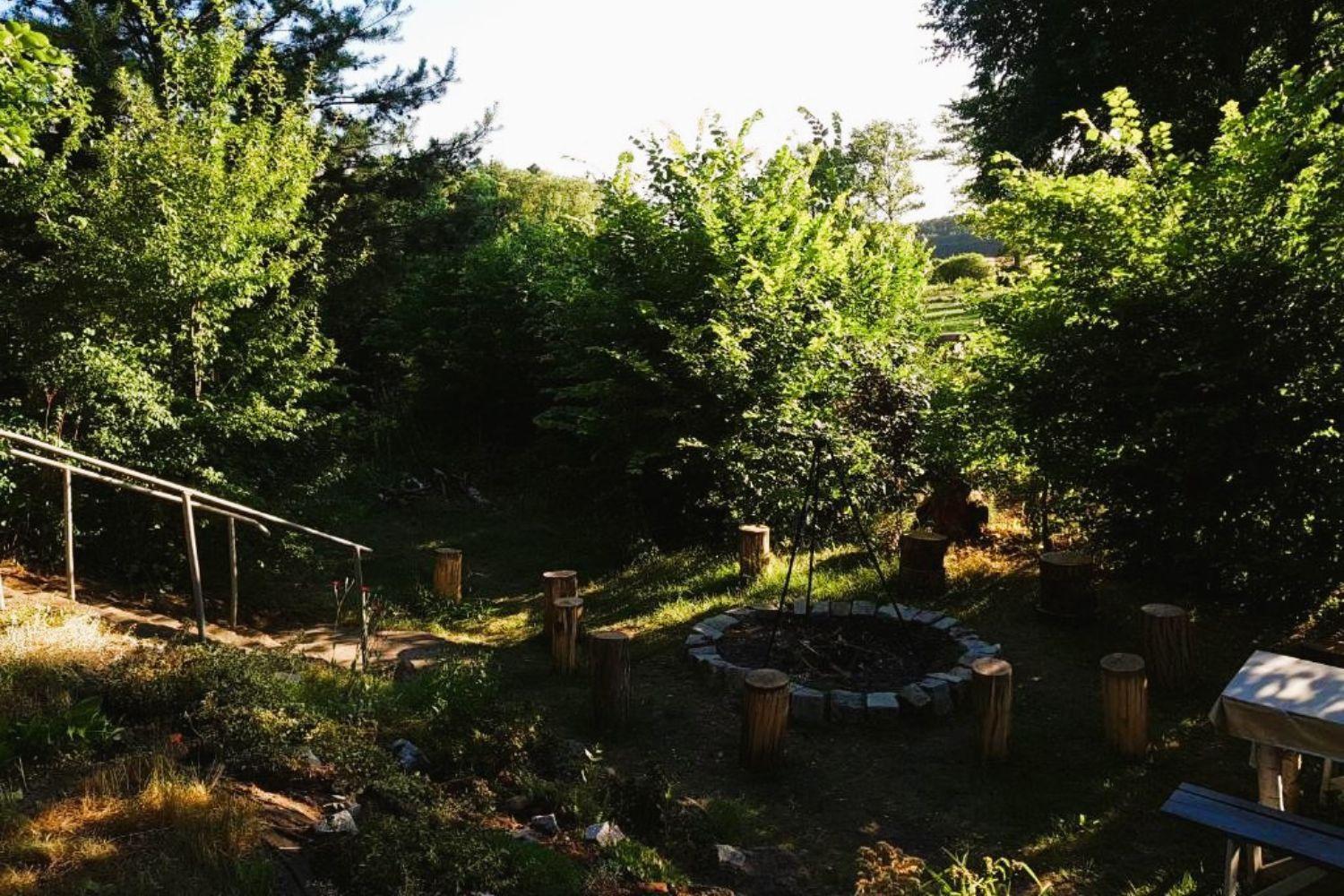 Bauernhof Olszyna Pod Brzoza Olszyna (Lubuskie)
